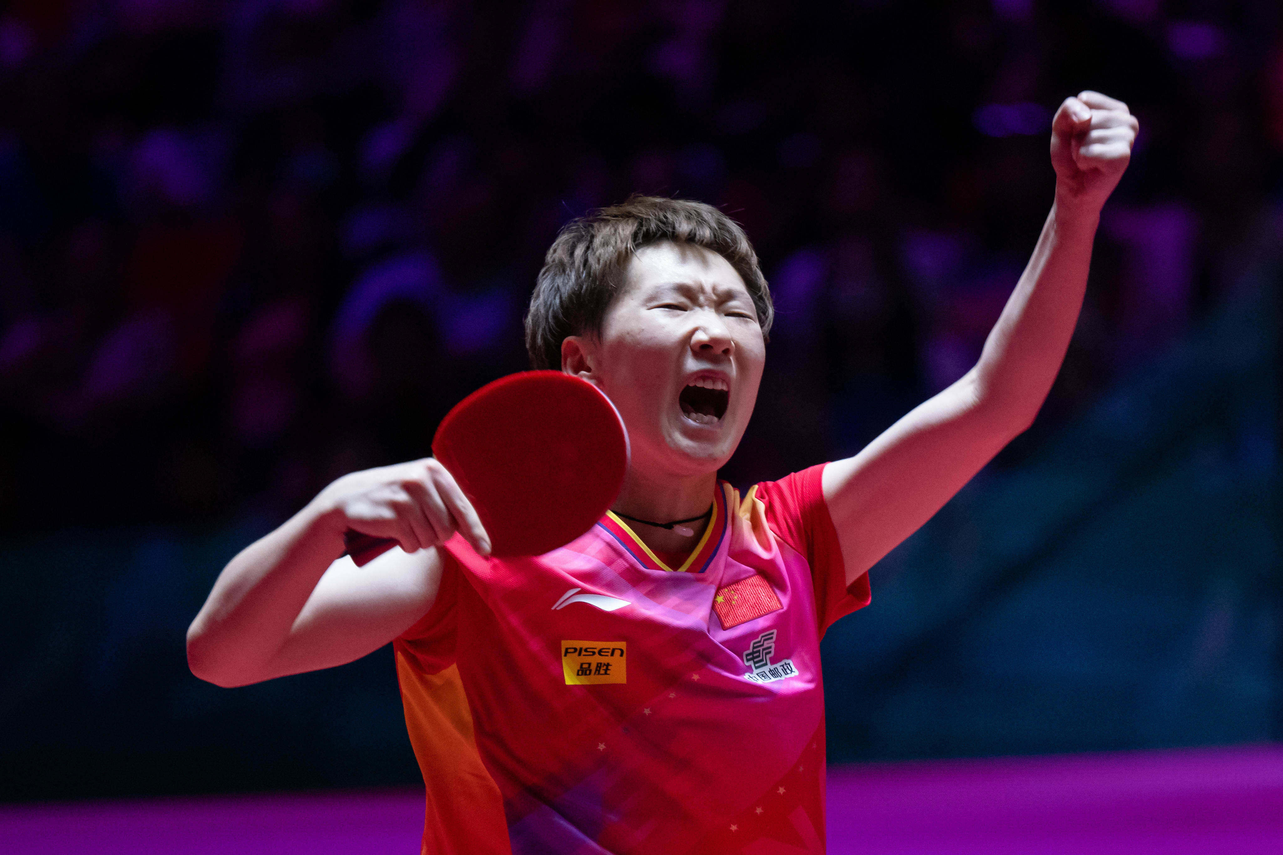 系列赛在此 系列赛在此